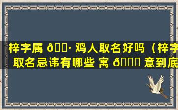 梓字属 🌷 鸡人取名好吗（梓字取名忌讳有哪些 寓 🐛 意到底好不好）